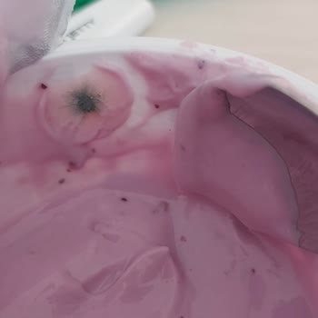 Sek Quark Yaban Mersinli Küf Çıktı!