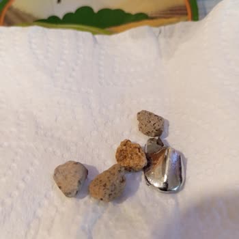 A101 Yöremce Kuru Fasülye