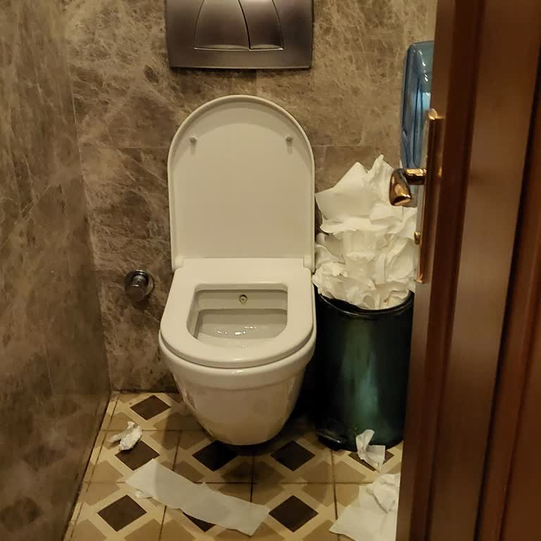 Kadıköy Saray Muhallebicisi Pis Tuvaletleri