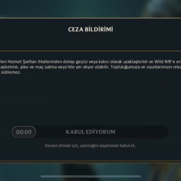 Riot Games Riot Wild Rift Ban