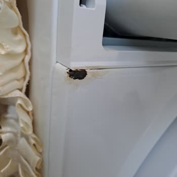 Grundig Çamaşır Makinesi Üretim Hatası Yüzünden Paslanıyor