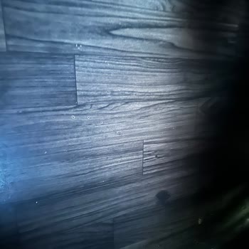 Kamil Koç Kirlilik Ve Otobüste Sigara İçilmesi