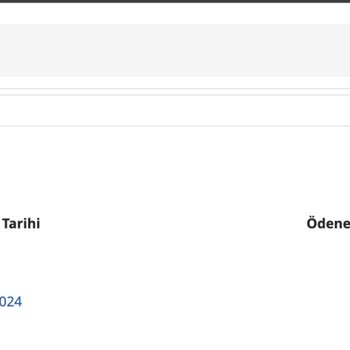 Siparişim 2 Haftadır Nerede Horoz Lojistik