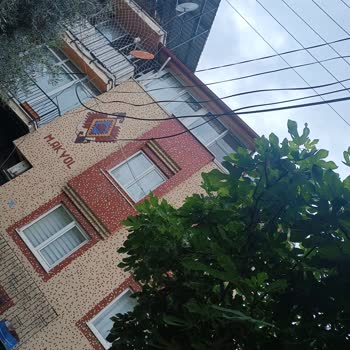 Türk Telekom İnternet Kabloları Ağaçlara Dolandı