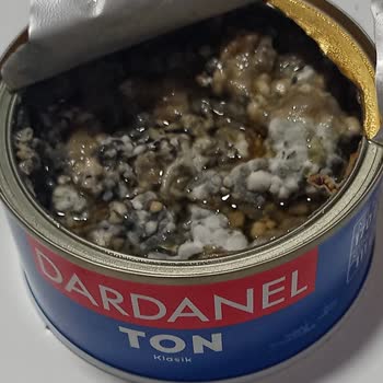 A101 Küflü Dardanel Ton Balığı