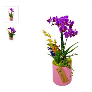 Gebze Çiçekleri Yaşamış Olduğum Mağduriyet