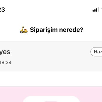 Yemek Sepeti Sorunu