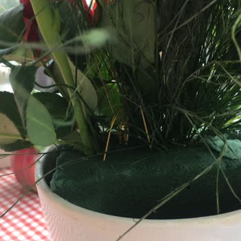 ÇiçekSepeti Çiçek Sepetinden Gelen Rezil Çiçek