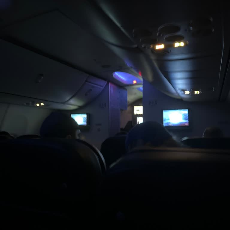 THY Business Basitliği Ve Seçenek Eksikliği