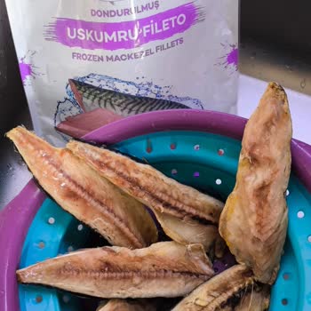 Balık Dünyası Ürün Kaliteniz Eskisi Gibi Değil.