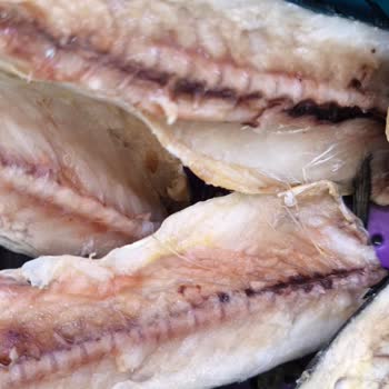 Balık Dünyası Ürün Kaliteniz Eskisi Gibi Değil.