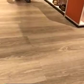 Deichmann Nike Ayakkabı Ses Çıkarma Sorunu