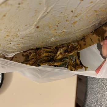 Meşhur Balıkçı Ahmet Usta Adı Meşhur Ama Gelen Sipariş Çöpe Gitti