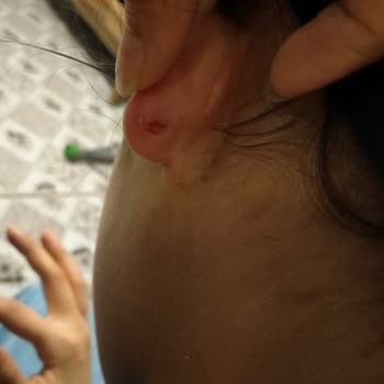 Pandora Mücevher Pandora Küpe Keskinliği