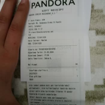 Pandora Mücevher Pandora Küpe Keskinliği