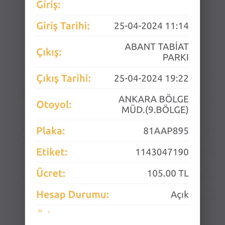 HGS Engelli Aracımla Yaşadığım Mağduriyet