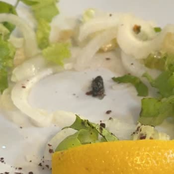 Geyikli Askınlar Pide Döner Kebap Yemeklerde Hijyen Problemi