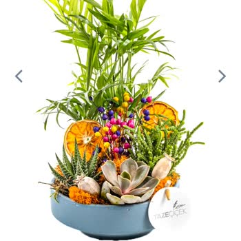 Taze Çiçek (tazecicek.com) Ürün Görseli Ve Gelen Arasındaki Alakasızlık