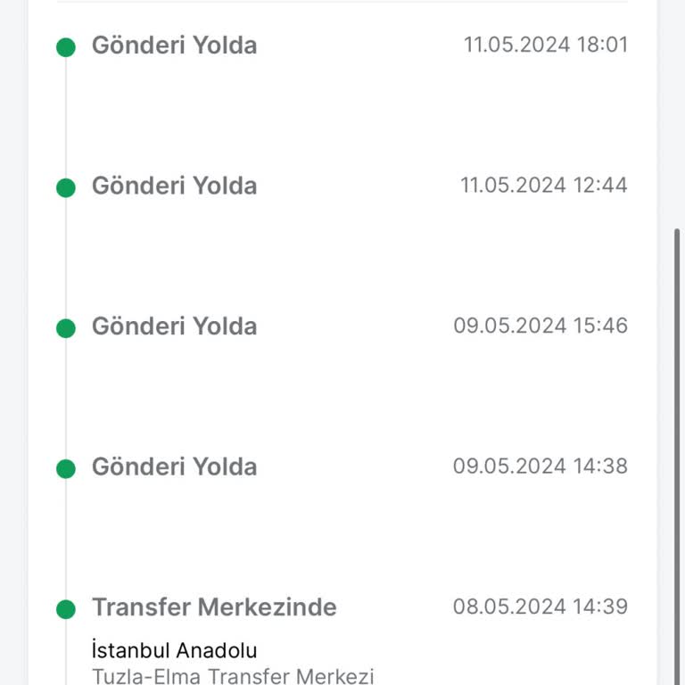Trendyol Express 10 Günde Teslim Edilemeyen Kedi Ürünleri