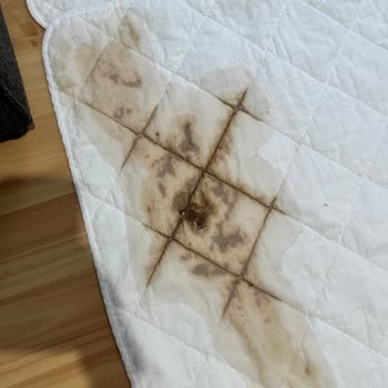 Bursa Köpek Eğitimi & Pet Hotel Eğitim Diye Yolladığımız Yerden Köpeğimizi Hasta Aldık