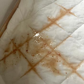 Bursa Köpek Eğitimi & Pet Hotel Eğitim Diye Yolladığımız Yerden Köpeğimizi Hasta Aldık