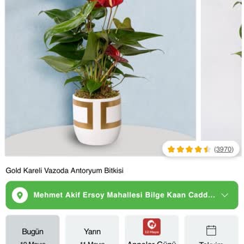 Çiçek Sepeti Anneler Günümüzü Rezil Etti.