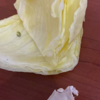 Komagene Çiğköfteden Solucan Çıktı