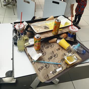 Tavuk Land Şikayet Düzeltilmesi Hijyen Temizlik