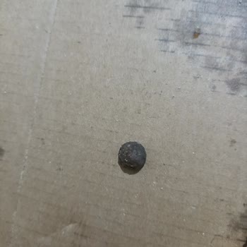 Domino's'dan Zeytin Çekirdekli Pizza!