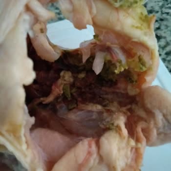 Lezita Paketli Tavuğun İçi