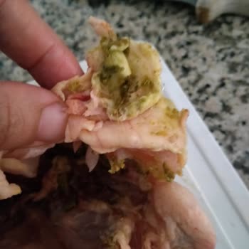 Lezita Paketli Tavuğun İçi