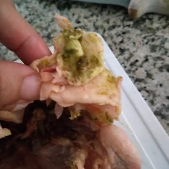 Lezita Paketli Tavuğun İçi