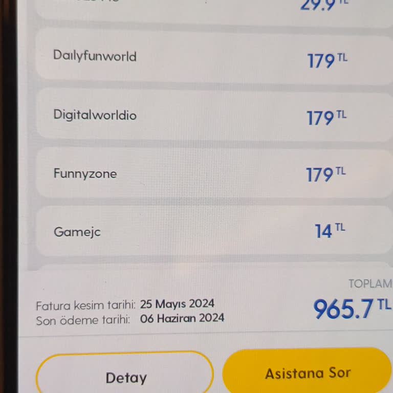 Vizyon Elektronik Para Vizyon Mobil Ödeme İadesi