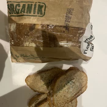 Macro Centerdan Aldığım Ekmek Küflü Çıktı