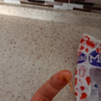 Torku Sorumsuzluk Güven Dikkat