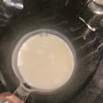 Yörükoğlu Sütün İçinden Çıkanlar