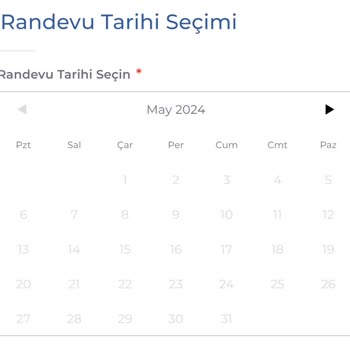 Kosmos Vize Hizmetleri Kosmos İstanbul Randevu Sorunu