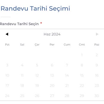 Kosmos Vize Hizmetleri Kosmos İstanbul Randevu Sorunu