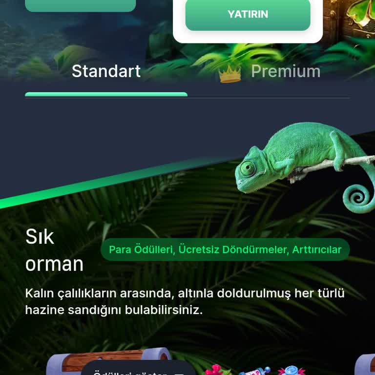 7Slots Bonus Bakiyesi Ni Nasıl Gerçek Bakiyeye Çeviririz