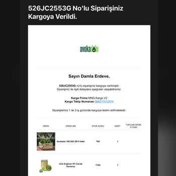 Avakadolu.com Avokadolu Olgunlaşmadan Çürüyen Avokadolar