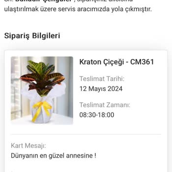 Cicekmarket.com Resmen Pişmanlık