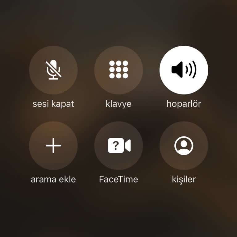 Agesa Hayat Ve Emeklilik Müşteri Hizmetleri Bağlanma Problemi
