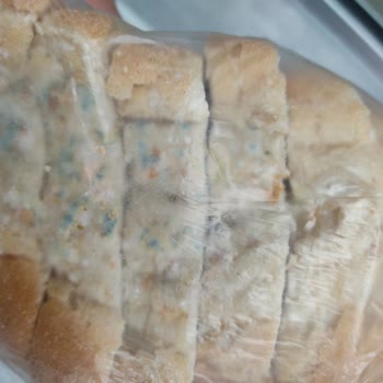 A101 Küflü Ekmek Satışı