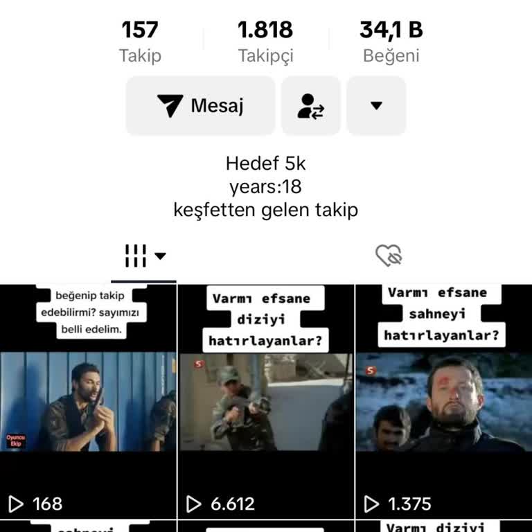 TikTok E-posta Telefon Numaramı Bulamıyorum