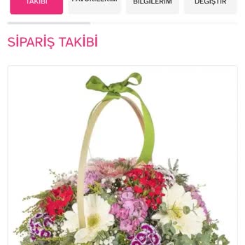 Osevio Yanlış Sipariş