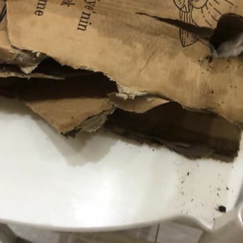 Heryerbitki Nişan İçin Sipariş Hayal Kırıklığı