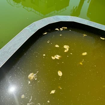 Vclub - Torba Şikayet