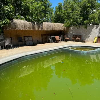 Vclub - Torba Şikayet