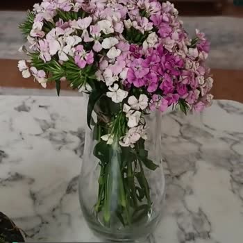Çiçek Sepeti Paketleme Yapılmadan Geldi!