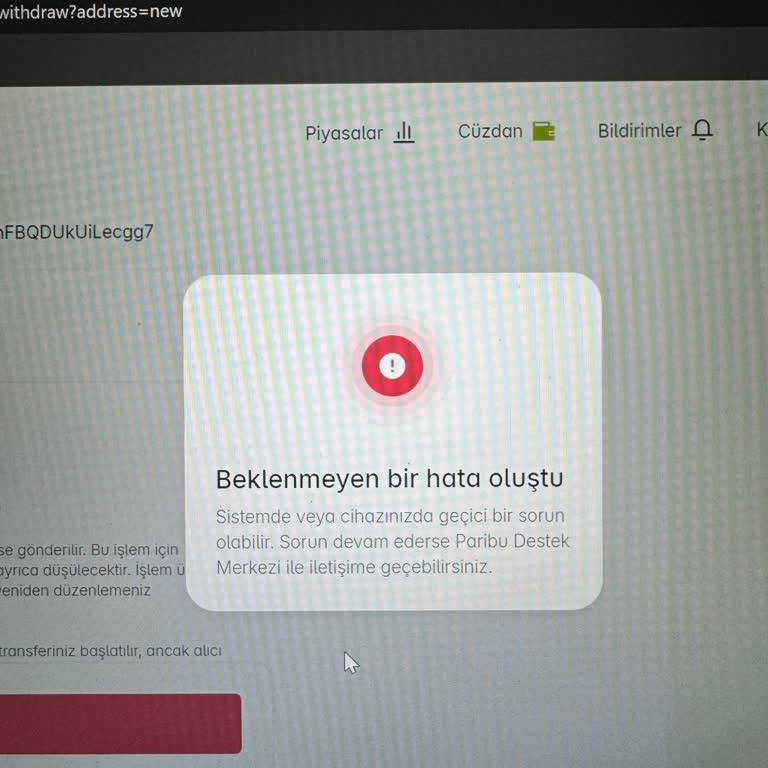 Paribu Varlık Çekme Kısıtı